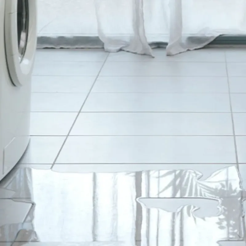 Appliance Leak Cleanup in Pickens County, SC