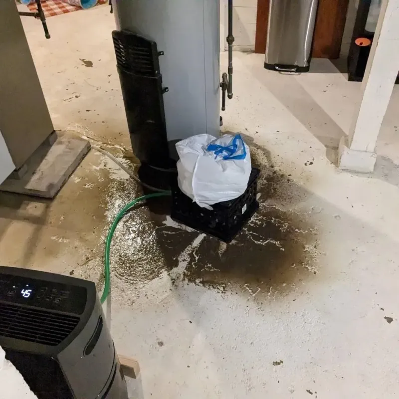 Sewage Backup Cleanup Service in Pickens County, SC